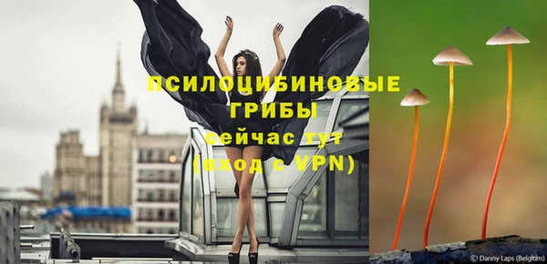 кокс Армянск