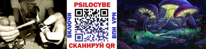 Псилоцибиновые грибы MAGIC MUSHROOMS  Пушкино 